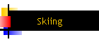 Skiing