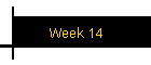 Week 14